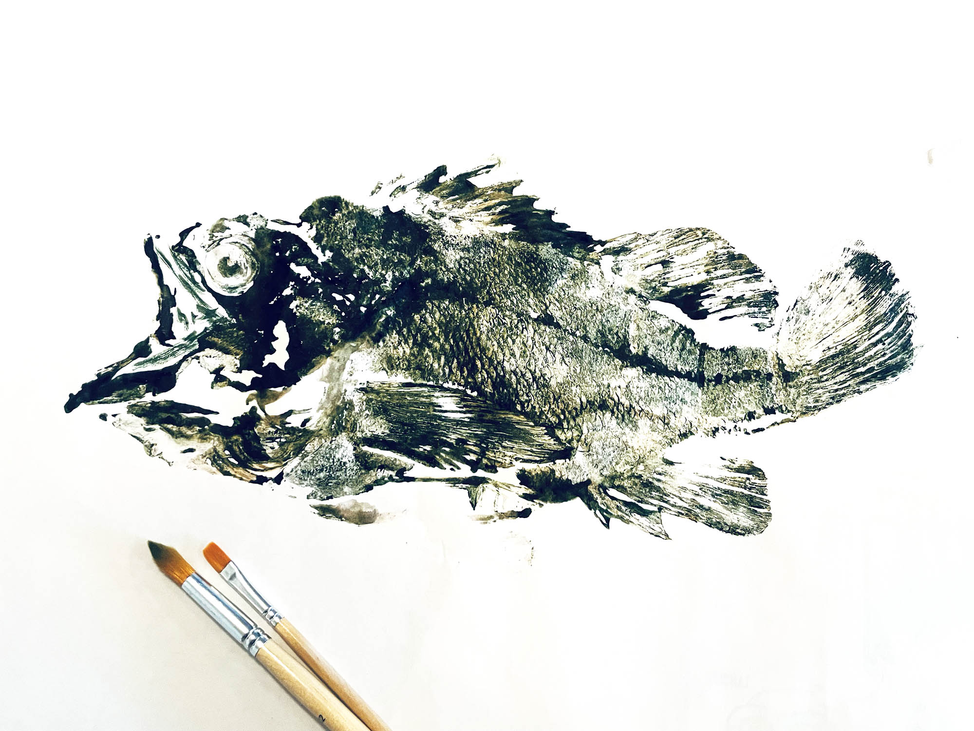 https://149355435.v2.pressablecdn.com/wp-content/uploads/2021/10/rockfish-gyotaku-brushes-sm.jpg